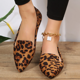 Sapato Leopard